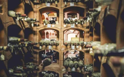 cantina di Paolo Teverini