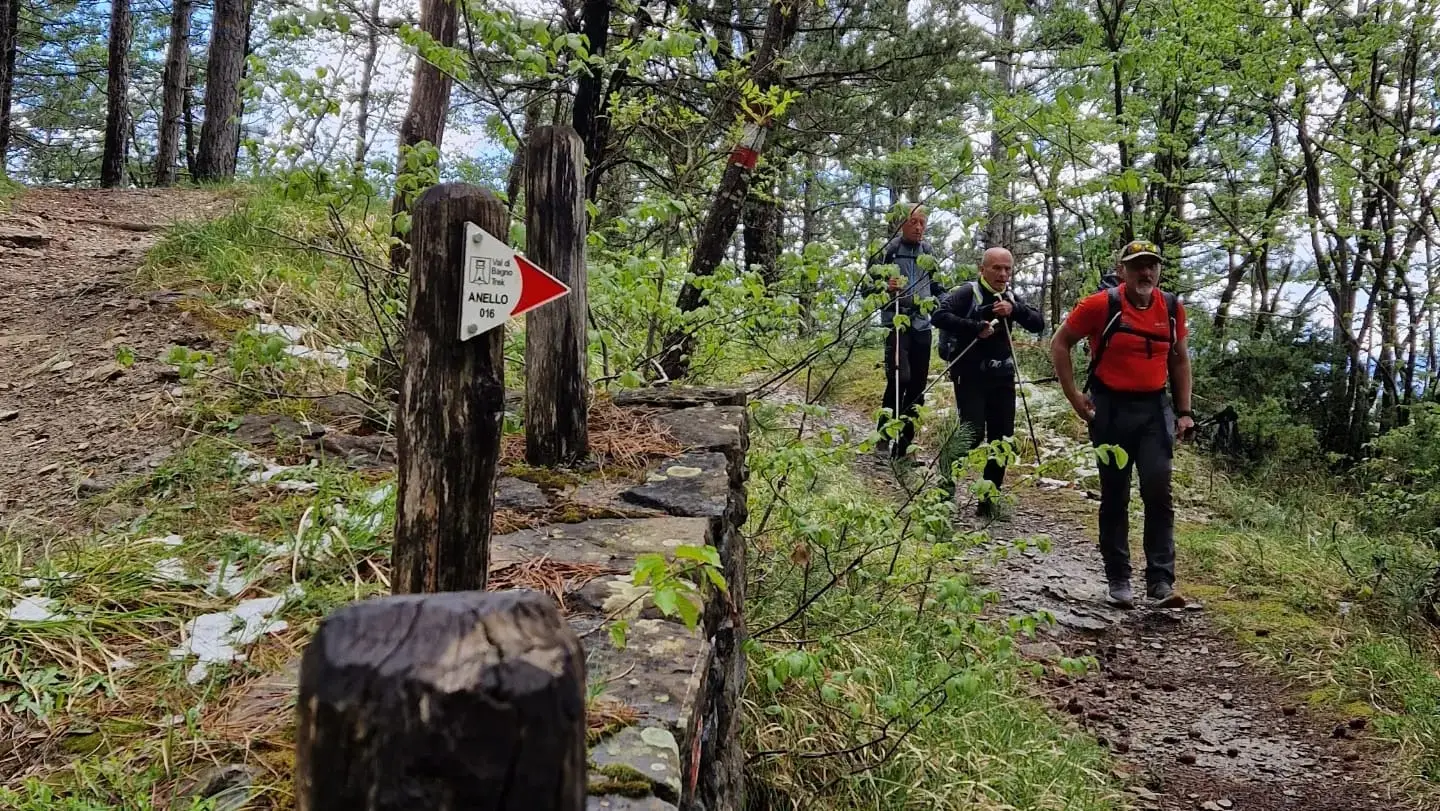 Trekking Trekking